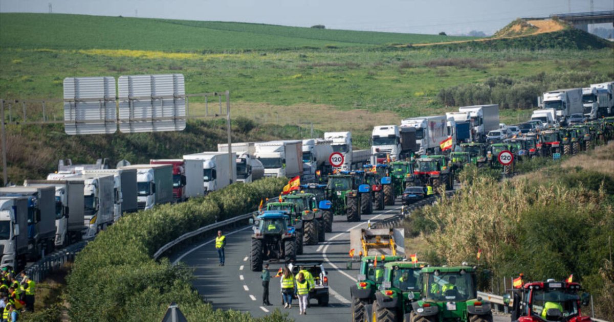 El PP Pide Al Gobierno Que Frene La Ristra De Multas A Los Agricultores   66774e24dffa0 