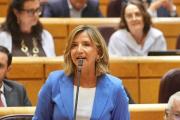 La portavoz popular en el Senado, Alicia García