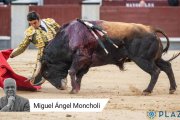 5ª San Isidro. Seis toros para el aburrimiento y la técnica y ganas de Perera