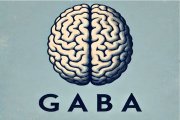 Propiedades y contraindicaciones del GABA