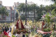 Procesión del Domingo de Ramos (Ferrol)