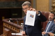 El presidente del Partido Popular, Alberto Núñez Feijóo, interviene durante la sesión extraordinaria en el Congreso.