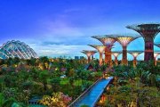 El espectáculo de los árboles futuristas de Singapur