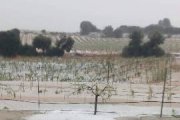 Tormenta Utiel Requena