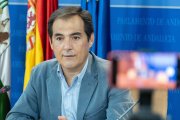 El portavoz del grupo parlamentario del PP-A, José Antonio Nieto.