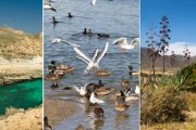 Parque Natural del Cabo de Gata -Níjar