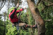 5 Parques de Aventura cerca de Madrid para disfrutar de la naturaleza