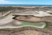 Laguna casi seca en Doñana.