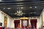 Pleno del Ayuntamiento de Elche
