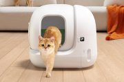 El mejor arenero gatos petkit