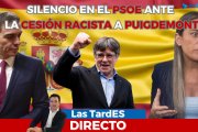 LAS TARDES DE ESDIARIO