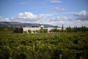 Bodega Finca Rodma