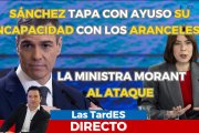 LAS TARDES DE ESDIARIO