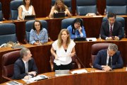 Archivo - La consejera de Familia, Juventud y Asuntos Sociales, Ana Dávila, interviene durante un pleno en la Asamblea de Madrid, a 19 de septiembre de 2024, en Madrid (España).  