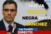 LAS TARDES DE ESDIARIO