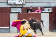 Ismael Martín recibió así a sus dos toros