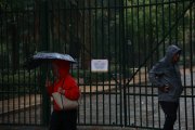 Lluvias del pasado miércoles en Sevilla.

Rocío Ruz / Europa Press
29/10/2025