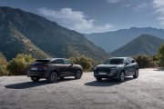 Audi Q3 2025