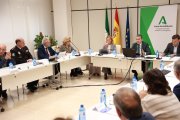 El consejero Antonio Sanz, preside la sesión de constitución y puesta en funcionamiento del Observatorio de Agresiones a Personas Profesionales del Sistema Sanitario Público de Andalucía.