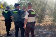 Agentes de la Guardia Civil en una plantación de olivos en Sevilla.

REMITIDA / HANDOUT por GUARDIA CIVIL
Fotografía remitida a medios de comunicación exclusivamente para ilustrar la noticia a la que hace referencia la imagen, y citando la procedencia de la imagen en la firma
10/11/2025