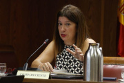 Leire Díez comparece ante el Senado