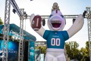 Fan Zone de los Dolphins en Plaza de España