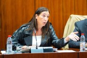 La consejera de Inclusión Social, Igualdad y Familias de la Junta de Andaucía, Loles López.