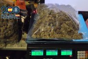 Seis detenidos al desmantelar un punto de venta de droga con apariencia de asociación legal en Dénia.