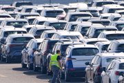 Coches en parque para exportar