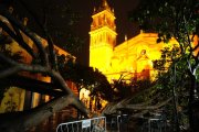 Ficus de la Plazuela de Santa Ana de Sevilla afectado por el paso de la tormenta.
