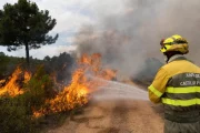 Un brigadista lucha contra las llamas del incendio de Losacio, en Zamora. José C. Castillo