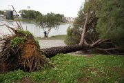 Efectos del viento en Sevilla.