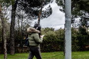 El uso del teléfono móvil mientras se camina se ha normalizado en ciudad y es uno de los principales factores de riesgo en los cruces, según alerta la DGT