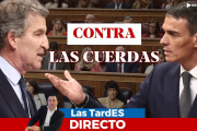 •Para más contenido, síguenos en:
◆X: https://twitter.com/ESdiario_com
◆FaceBook: https://www.facebook.com/esdiario/
◆Instagram: https://www.instagram.com/esdiariocom/