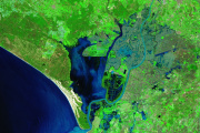 Imagen de Sentinel-2 del 14 de febrero con la marisma de Doñana inundada.