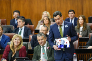 El presidente de la Junta de Andalucía, Juanma Moreno.