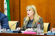 La consejera de Economía y portavoz del Gobierno andaluz, Carolina España, este jueves durante su comparecencia parlamentaria en comisión.