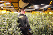 Agente de la Guardia Civil en una plantación de marihuana en una imagen de archivo. Europa Press.