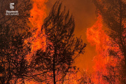 Incendio forestal declarado en la localidad castellonense de la Vall d'Uixó (Castellón)

REMITIDA / HANDOUT por CONSORCIO BOMBEROS CASTELLÓN
Fotografía remitida a medios de comunicación exclusivamente para ilustrar la noticia a la que hace referencia la imagen, y citando la procedencia de la imagen en la firma
26/7/2026