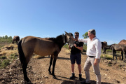 Martínez Mus visita Yeguada Rafael Peris Dolz de Requena