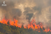 Incendio forestal Segorbe