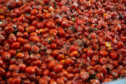 (Foto de ARCHIVO)
Tomates son cargados en los camiones para la celebración de la tomatina.