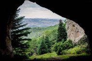 Imagen del pinsapar de la Sierra de las Nieves en Málaga. Foto: Tierra sin Fronteras.