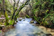 Sendero del río Majaceite en la Sierra de Grazalema, Cádiz.