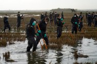 Varios agentes de la Guardia Civil siguen buscando cuerpos en la Albufera, a 15 de noviembre de 2024