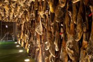 Jamones ibéricos de bellota en un secadero de Jabugo