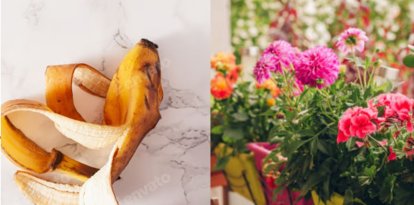 Pieles de plátano para el jardín