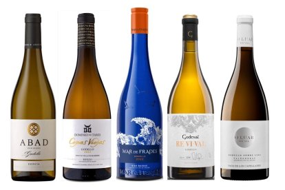 Vinos de uva godello