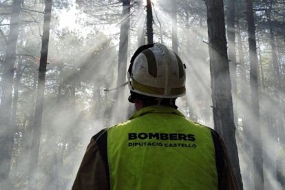 Efectivo del Consorcio trabajan en su extinción