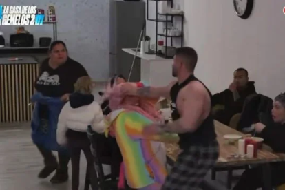 Agresión de Labrador en 'La casa de los Gemelos'.